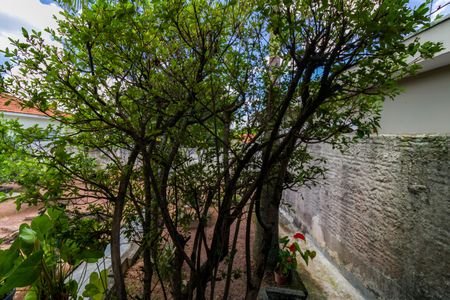 Casa à venda com 250m², 1 quarto e 2 vagas Casa à venda com 250m², 1 quarto e 2 vagasVista