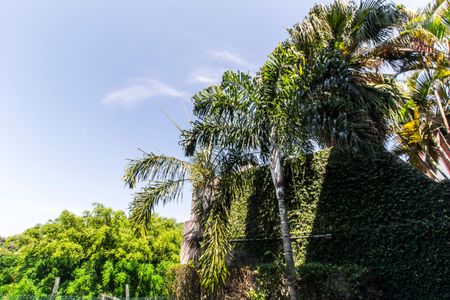 Casa de condomínio à venda com 488m², 4 quartos e 5 vagas Casa de condomínio à venda com 488m², 4 quartos e 5 vagasVista