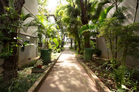 Apartamento para alugar com 60m², 2 quartos e 1 vagaÁrea comum