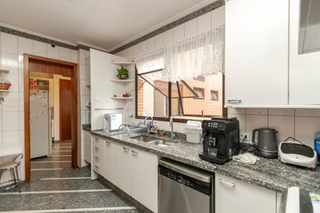 Apartamento à venda com 275m², 4 quartos e 7 vagasCozinha