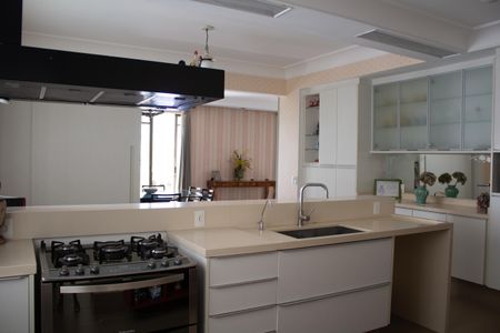 Apartamento à venda com 267m², 3 quartos e 2 vagasCozinha