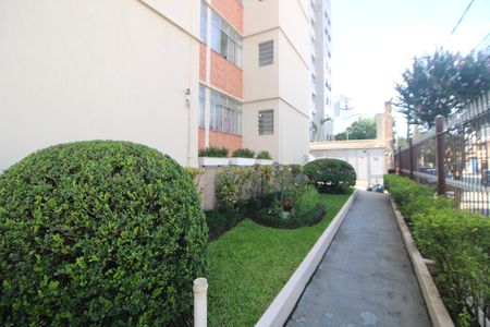 Apartamento para alugar com 53m², 1 quarto e sem vagaÁrea Comum