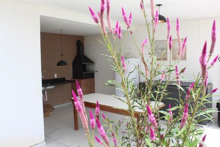 Apartamento para alugar com 41m², 2 quartos e 1 vagaÁrea comum - Churrasqueira