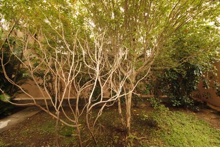 Apartamento à venda com 113m², 3 quartos e 1 vagaVista