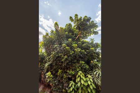 Casa de condomínio para alugar com 310m², 3 quartos e 6 vagasQuintal