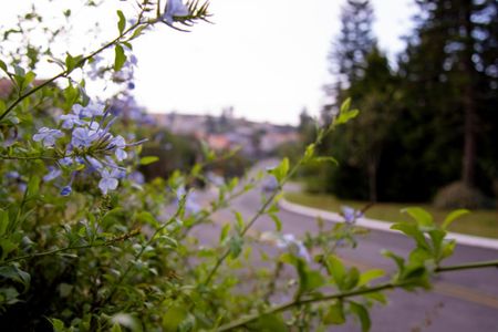 Casa de condomínio para alugar com 310m², 3 quartos e 6 vagasDetalhe