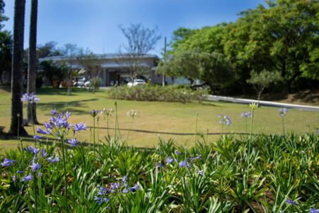 Casa de condomínio para alugar com 310m², 3 quartos e 6 vagasDetalhe