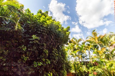 Casa de condomínio para alugar com 310m², 3 quartos e 6 vagasQuintal