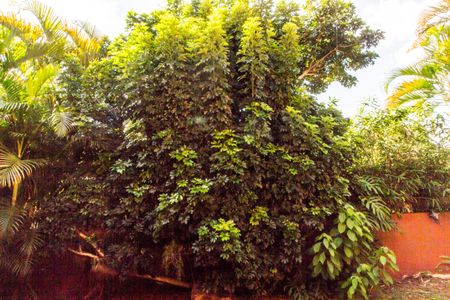 Casa de condomínio para alugar com 310m², 3 quartos e 6 vagasQuintal