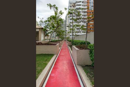 Apartamento à venda com 76m², 3 quartos e 1 vagaÁrea comum - Pista de caminhada