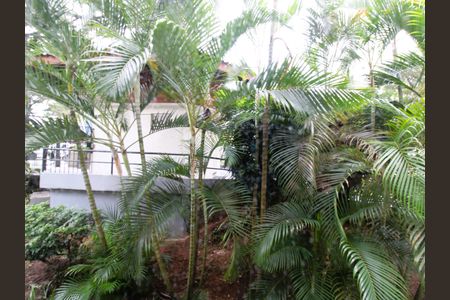 Apartamento para alugar com 60m², 2 quartos e sem vagaVista da Sala