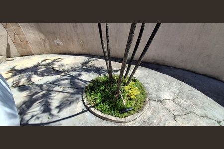 Casa à venda com 230m², 3 quartos e 8 vagas Casa à venda com 230m², 3 quartos e 8 vagasQuintal