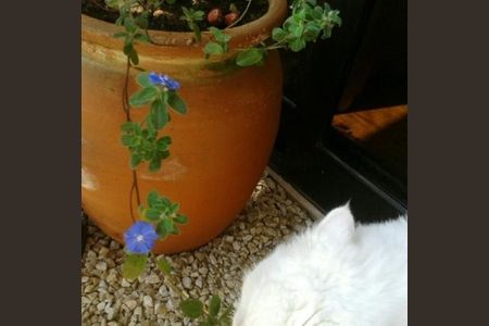 Apartamento à venda com 65m², 2 quartos e 2 vagas