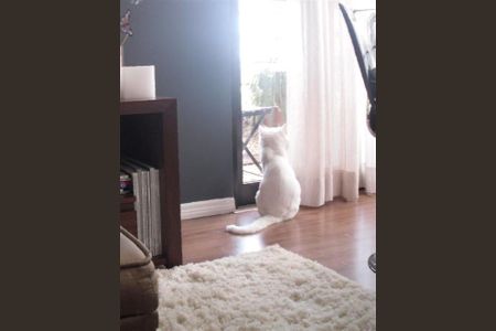 Apartamento à venda com 65m², 2 quartos e 2 vagas