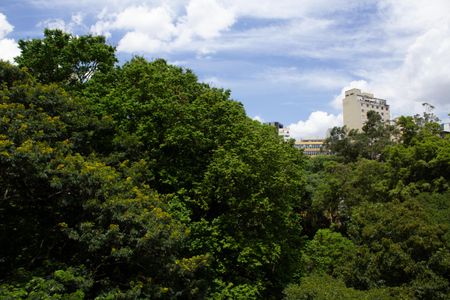 Studio para alugar com 26m², 1 quarto e sem vagaVista