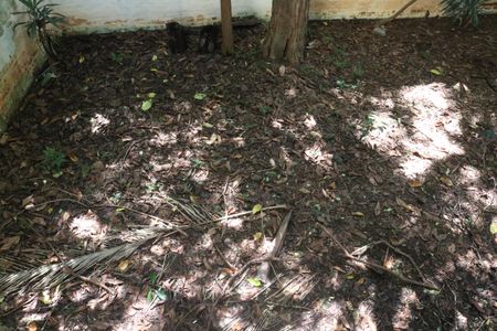 Casa à venda com 299m², 4 quartos e 2 vagasÁrea externa