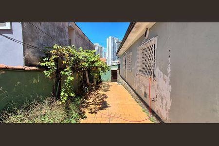 Casa à venda com 400m², 2 quartos e 2 vagasQuintal
