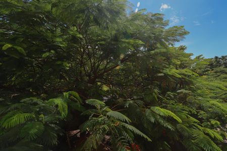 Apartamento à venda com 60m², 2 quartos e sem vaga Apartamento à venda com 60m², 2 quartos e sem vagaVista do Quarto 1