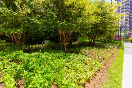 Apartamento à venda com 175m², 3 quartos e 3 vagas Apartamento à venda com 175m², 3 quartos e 3 vagasHorta