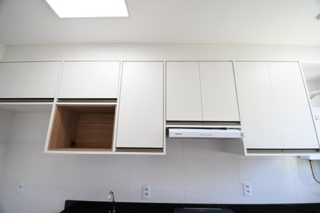 Apartamento para alugar com 48m², 2 quartos e 1 vagaCozinha - Armários