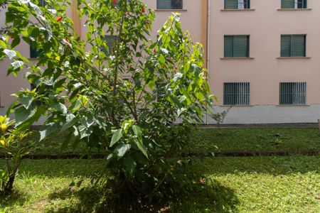 Apartamento para alugar com 50m², 2 quartos e 1 vaga Apartamento para alugar com 50m², 2 quartos e 1 vagaVista Quarto 1