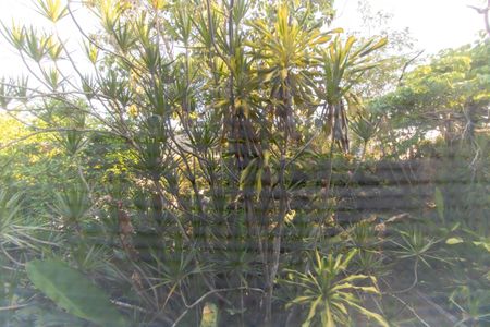 Casa de condomínio à venda com 392m², 4 quartos e 4 vagas Casa de condomínio à venda com 392m², 4 quartos e 4 vagasVista da Suíte 1