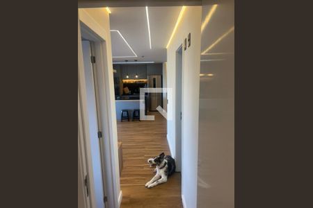 Apartamento à venda com 2 quartos, 82m² em Vila Santa Catarina, São Paulo
