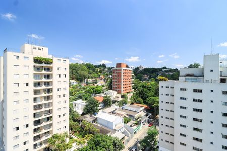 Apartamento para alugar com 350m², 4 quartos e 4 vagasVista da Varanda da Sala