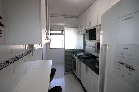 Cozinha de apartamento para alugar com 2 quartos, 50m² em Vila Taquari, São Paulo