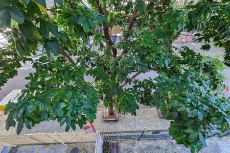 Apartamento para alugar com 128m², 3 quartos e 1 vagaVista 