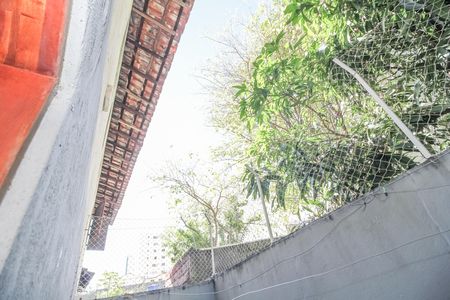 Quintal de casa para alugar com 2 quartos, 120m² em Vila Ipojuca, São Paulo