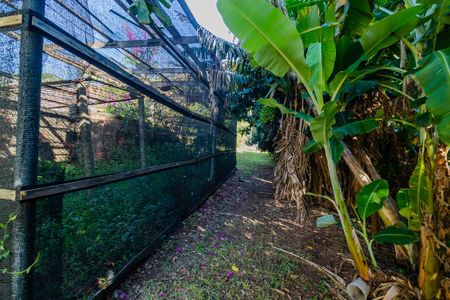 Casa para alugar com 70m², 1 quarto e 3 vagasQuintal