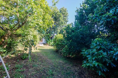 Casa para alugar com 70m², 1 quarto e 3 vagasQuintal