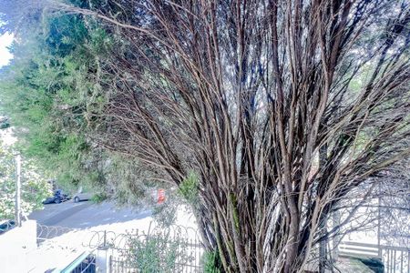 Casa à venda com 283m², 5 quartos e 2 vagasVista do Quarto 2