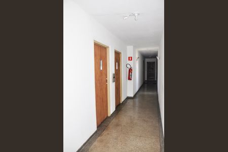 Apartamento para alugar com 49m², 2 quartos e 1 vaga Apartamento para alugar com 49m², 2 quartos e 1 vagaHall Elevadores