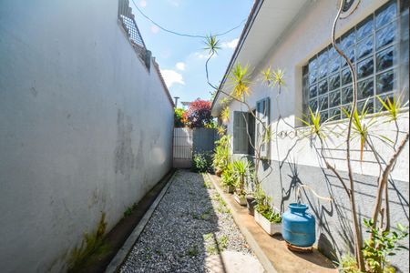 Casa para alugar com 300m², 3 quartos e 2 vagas Casa para alugar com 300m², 3 quartos e 2 vagasQuintal