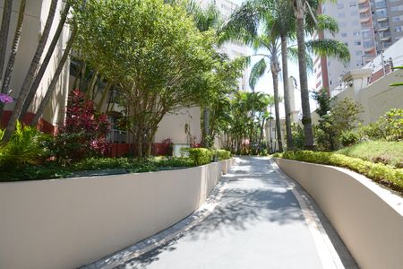 Apartamento para alugar com 52m², 2 quartos e 1 vagaÁrea comum