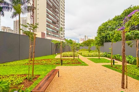 Studio para alugar com 22m², 1 quarto e sem vaga Studio para alugar com 22m², 1 quarto e sem vagaJardim