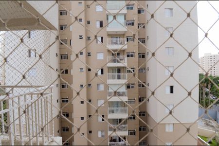 Apartamento à venda com 62m², 2 quartos e 1 vagaVista do Quarto 1