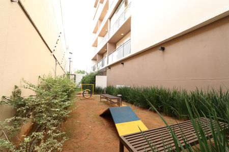 Apartamento para alugar com 29m², 1 quarto e sem vagaPet Place