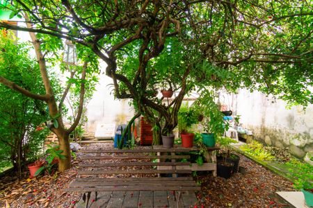 Casa à venda com 300m², 3 quartos e 1 vagaQuintal - Jardim