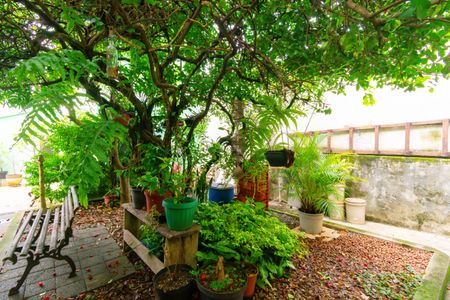 Casa à venda com 300m², 3 quartos e 1 vagaQuintal - Jardim