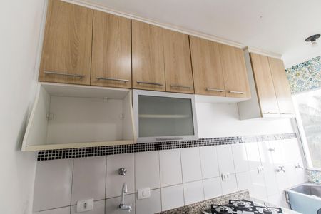 Apartamento para alugar com 51m², 2 quartos e 1 vagaDetalhe da cozinha