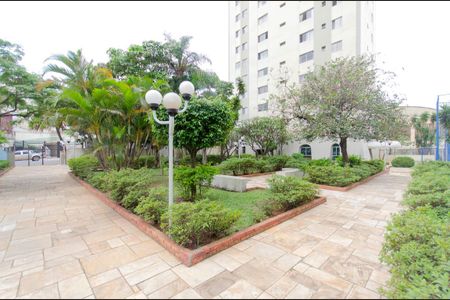 Apartamento para alugar com 175m², 3 quartos e 2 vagasÁrea Comum 