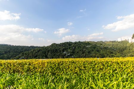 Apartamento à venda com 50m², 1 quarto e 1 vagaVista