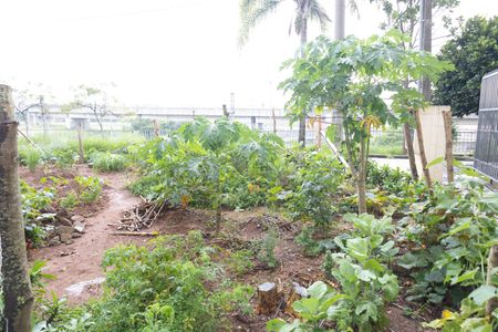 Apartamento à venda com 47m², 2 quartos e 1 vagaÁrea comum - Horta