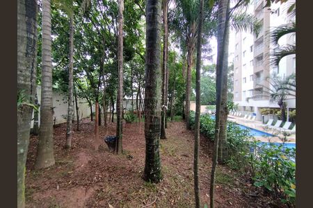 Apartamento para alugar com 36m², 1 quarto e 1 vaga Apartamento para alugar com 36m², 1 quarto e 1 vagaÁrea comum Verde