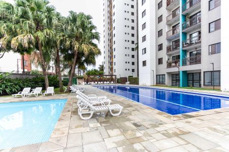 Apartamento para alugar com 93m², 3 quartos e 2 vagasPiscina