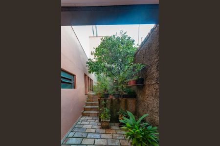 Casa à venda com 436m², 4 quartos e 4 vagasQuintal