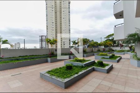 Apartamento à venda com 81m², 3 quartos e 2 vagas Apartamento à venda com 81m², 3 quartos e 2 vagasÁrea externa